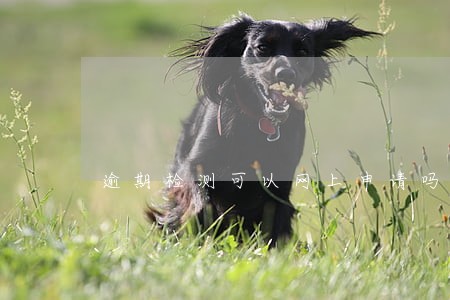 逾期检测可以网上申请吗 逾期检测可以网上申请吗