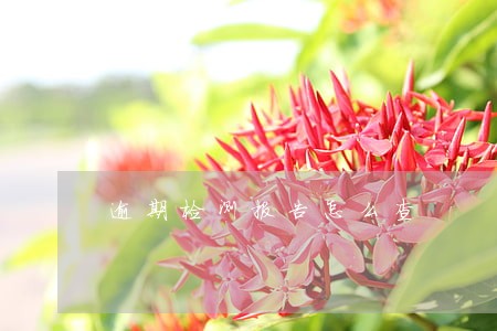 逾期检测报告怎么查 逾期检测报告怎么查