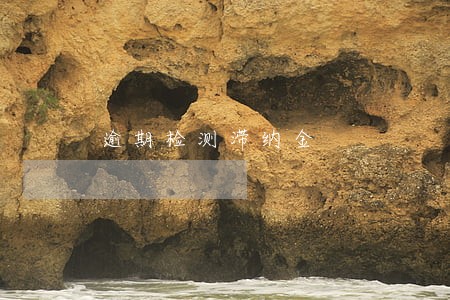 逾期检测滞纳金 逾期检测滞纳金