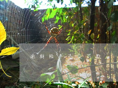 逾期检车不交罚款 逾期检车不交罚款
