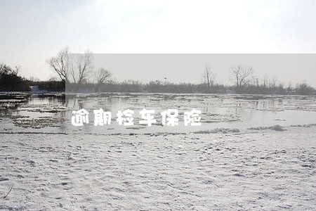 逾期检车保险 逾期检车保险