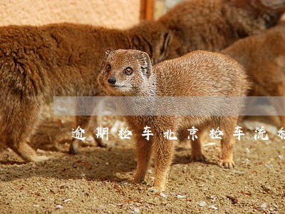 逾期检车北京检车流程 逾期检车北京检车流程