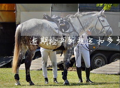 逾期检车新规定扣多少分 逾期检车新规定扣多少分