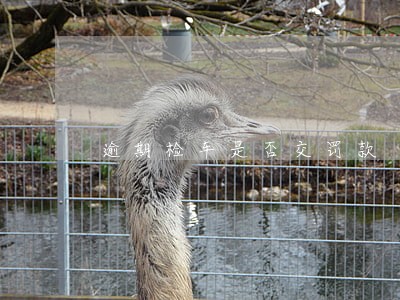 逾期检车是否交罚款 逾期检车是否交罚款