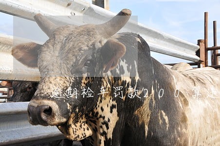 逾期检车罚款200算违章吗 逾期检车罚款200算违章吗