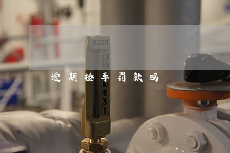 逾期检车罚款吗 逾期检车罚款吗