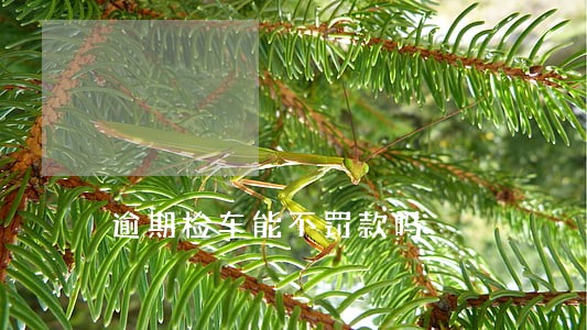 逾期检车能不罚款吗 逾期检车能不罚款吗