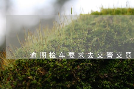 逾期检车要求去交警交罚款 逾期检车要求去交警交罚款