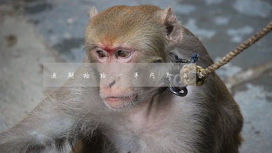 逾期检验一年内怎么办 逾期检验一年内怎么办