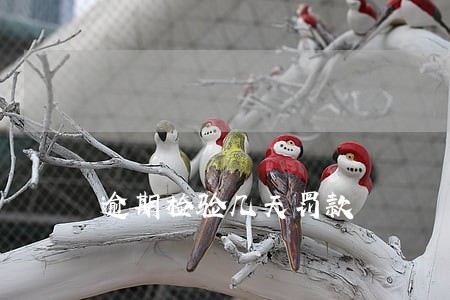 逾期检验几天罚款 逾期检验几天罚款