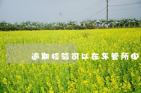 逾期检验可以在车管所申请吗 逾期检验可以在车管所申请吗