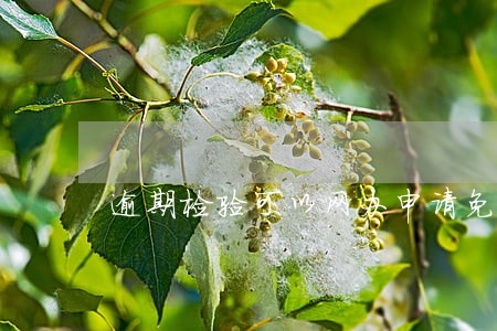 逾期检验可以网办申请免检标志吗 逾期检验可以网办申请免检标志吗