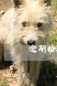 逾期检验怎么申请六年免检 逾期检验怎么申请六年免检