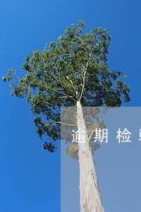 逾期检验扣分罚款找哪个部门处理 逾期检验扣分罚款找哪个部门处理