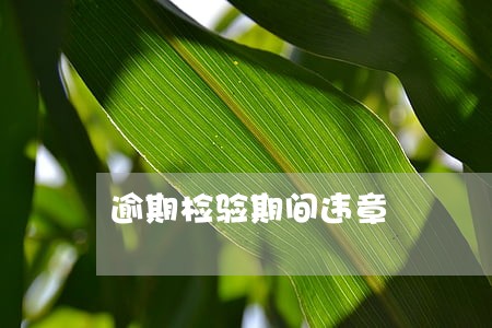 逾期检验期间违章 逾期检验期间违章