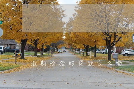逾期检验的罚款怎么缴 逾期检验的罚款怎么缴