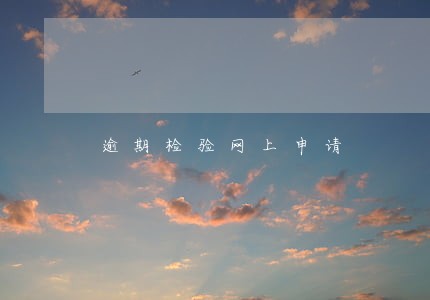 逾期检验网上申请