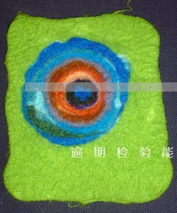 逾期检验能报保险吗 逾期检验能报保险吗