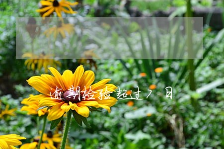 逾期检验超过7日 逾期检验超过7日