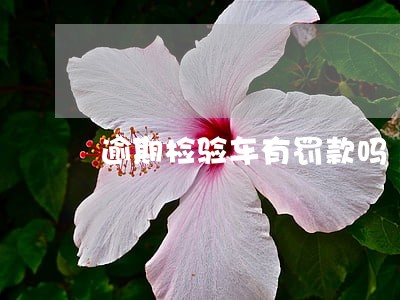 逾期检验车有罚款吗 逾期检验车有罚款吗