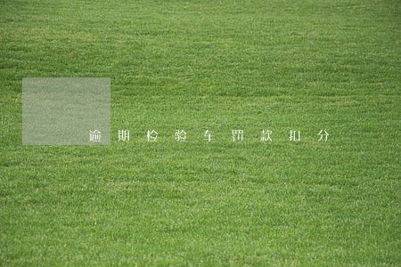 逾期检验车罚款扣分 逾期检验车罚款扣分
