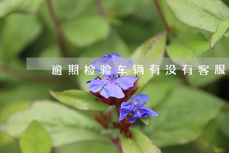 逾期检验车辆有没有客服电话 逾期检验车辆有没有客服电话