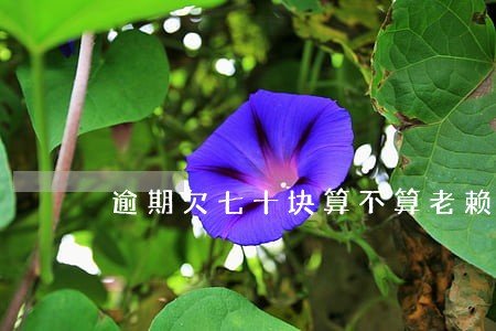逾期欠七十块算不算老赖 逾期欠七十块算不算老赖