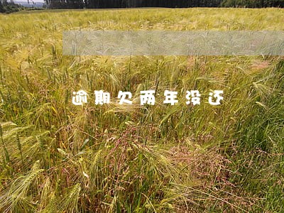 逾期欠两年没还 逾期欠两年没还