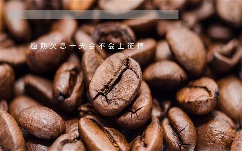逾期欠息一天会不会上征信 逾期欠息一天会不会上征信