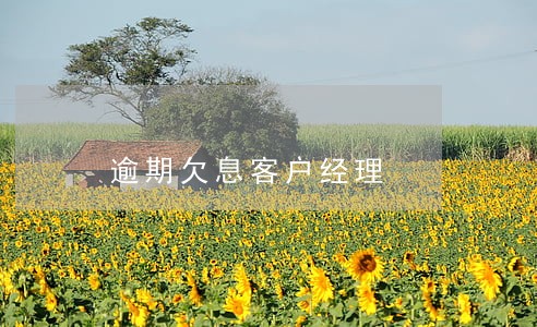逾期欠息客户经理 逾期欠息客户经理