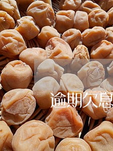 逾期欠息提示单要求 逾期欠息提示单要求