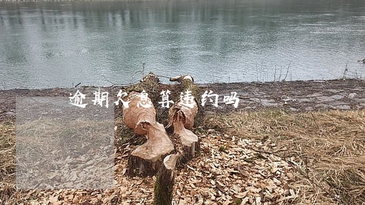 逾期欠息算违约吗 逾期欠息算违约吗