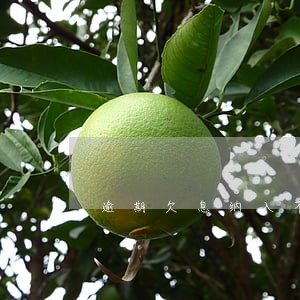 逾期欠息纳入不良文件 逾期欠息纳入不良文件