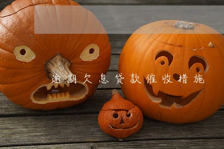 逾期欠息贷款催收措施 逾期欠息贷款催收措施