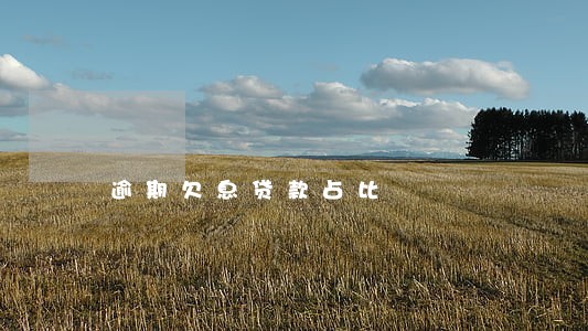 逾期欠息贷款占比 逾期欠息贷款占比
