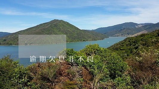 逾期欠息非不良 逾期欠息非不良