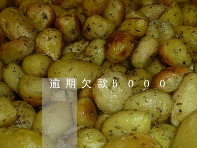 逾期欠款5000 逾期欠款5000
