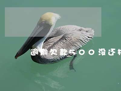 逾期欠款500没还构成什么罪 逾期欠款500没还构成什么罪