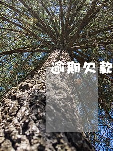 逾期欠款5万元以上 逾期欠款5万元以上