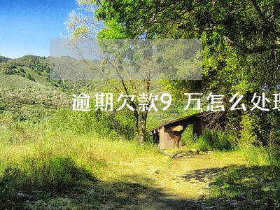 逾期欠款9万怎么处理 逾期欠款9万怎么处理