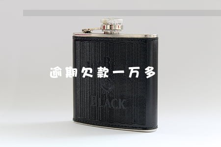 逾期欠款一万多 逾期欠款一万多
