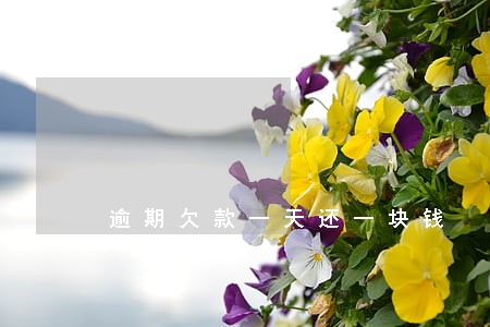 逾期欠款一天还一块钱 逾期欠款一天还一块钱