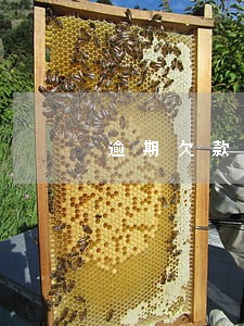 逾期欠款一案外访程序已启动 逾期欠款一案外访程序已启动