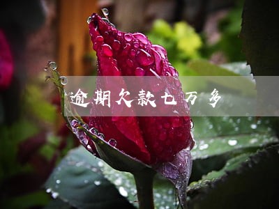 逾期欠款七万多 逾期欠款七万多