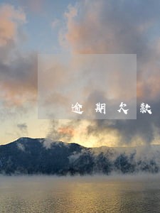 逾期欠款专案组是什么