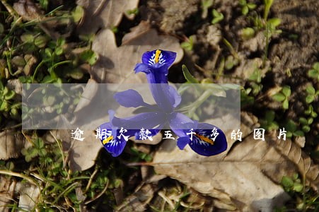逾期欠款五千多的图片