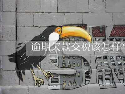 逾期欠款交税该怎样写情况说明 逾期欠款交税该怎样写情况说明