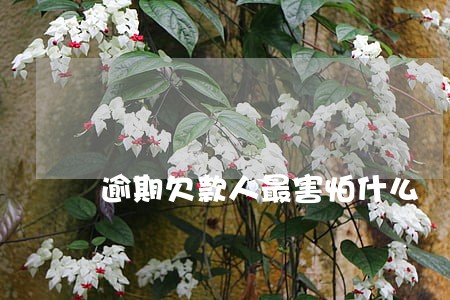逾期欠款人最害怕什么 逾期欠款人最害怕什么