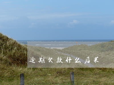 逾期欠款什么后果 逾期欠款什么后果