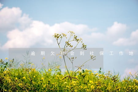 逾期欠款会到社保工作地调查吗 逾期欠款会到社保工作地调查吗